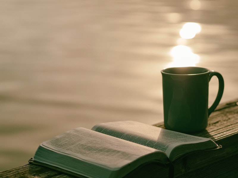 Open book and mug on shelf next to water